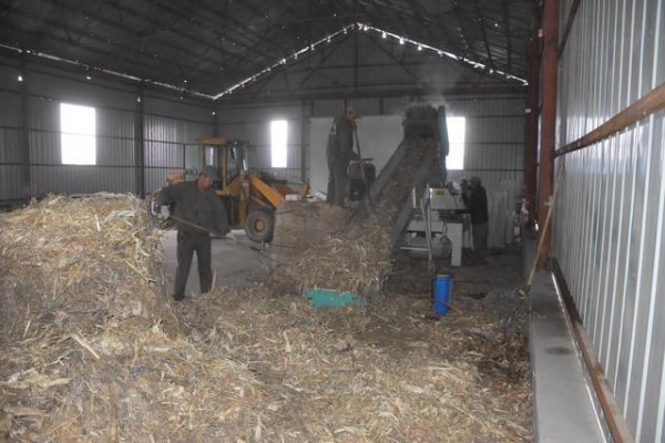 生物質秸稈顆粒燃料 生物質秸稈顆粒燃料