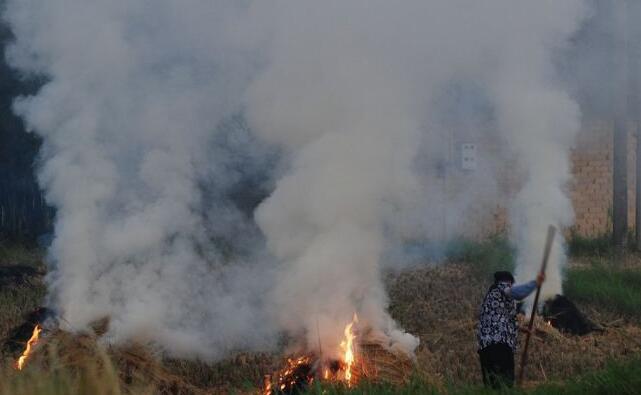 大量的農作物秸稈怎么處理? 大量的農作物秸稈怎么處理?