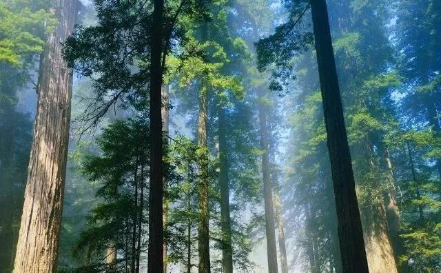 玉米秸稈燃料常見四大誤區,你知道嗎? 玉米秸稈燃料常見四大誤區,你知道嗎?