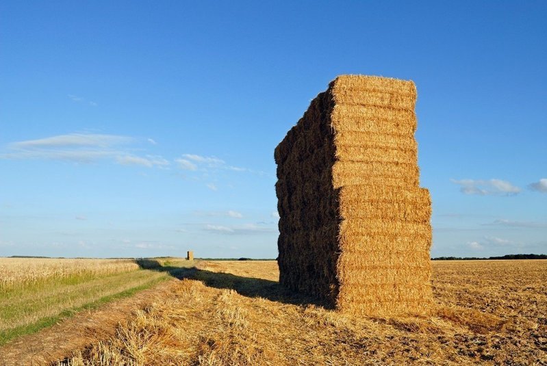 生物質(zhì)鍋爐冒黑煙怎么辦?怎么環(huán)保排放? 生物質(zhì)鍋爐冒黑煙怎么辦?怎么環(huán)保排放?