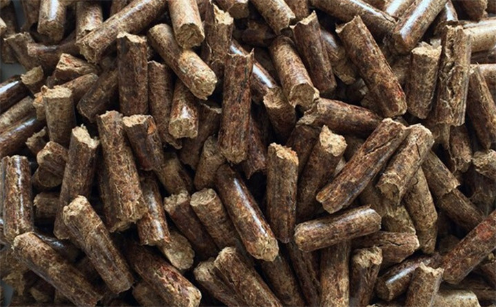 玉米顆粒圖 玉米顆粒圖