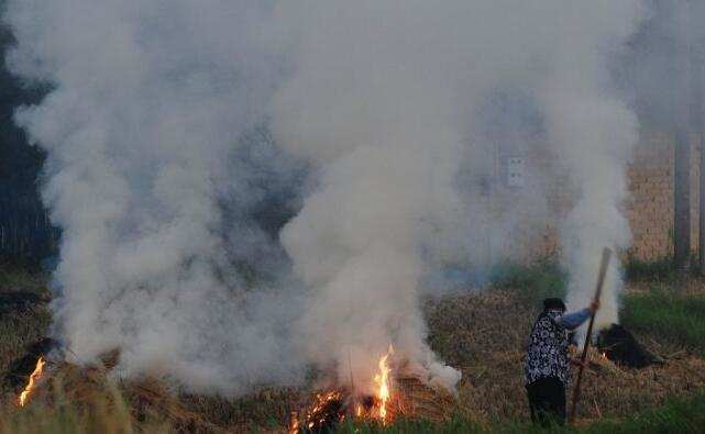 吉林2019秸稈禁燒 吉林2019秸稈禁燒