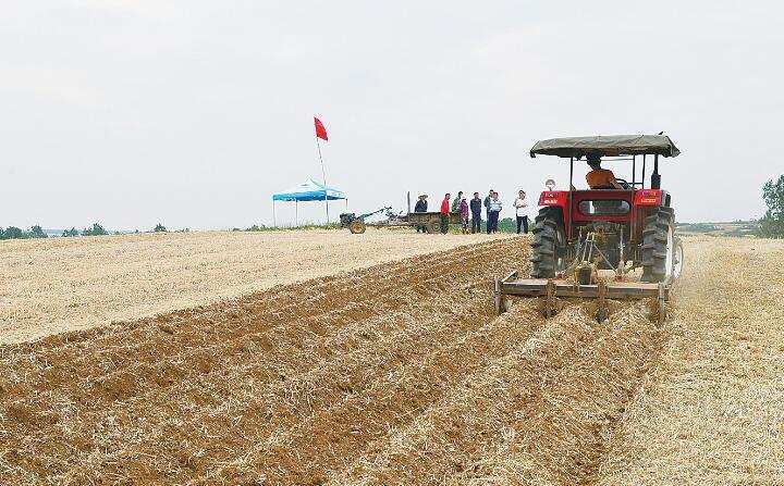 處理的秸稈在玉米收獲后留在地里 處理的秸稈在玉米收獲后留在地里