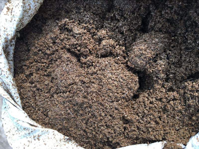 秸稈作為有機肥