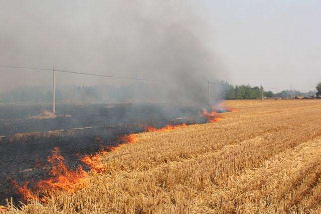 秸稈焚燒對空氣造成污染