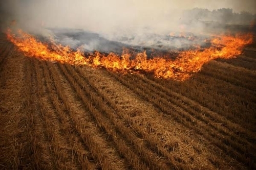 秸稈焚燒造成環境污染