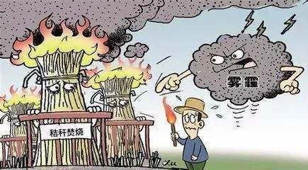 秸稈焚燒導(dǎo)致霧霾