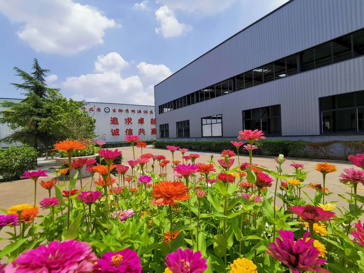 金格瑞顆粒機廠家