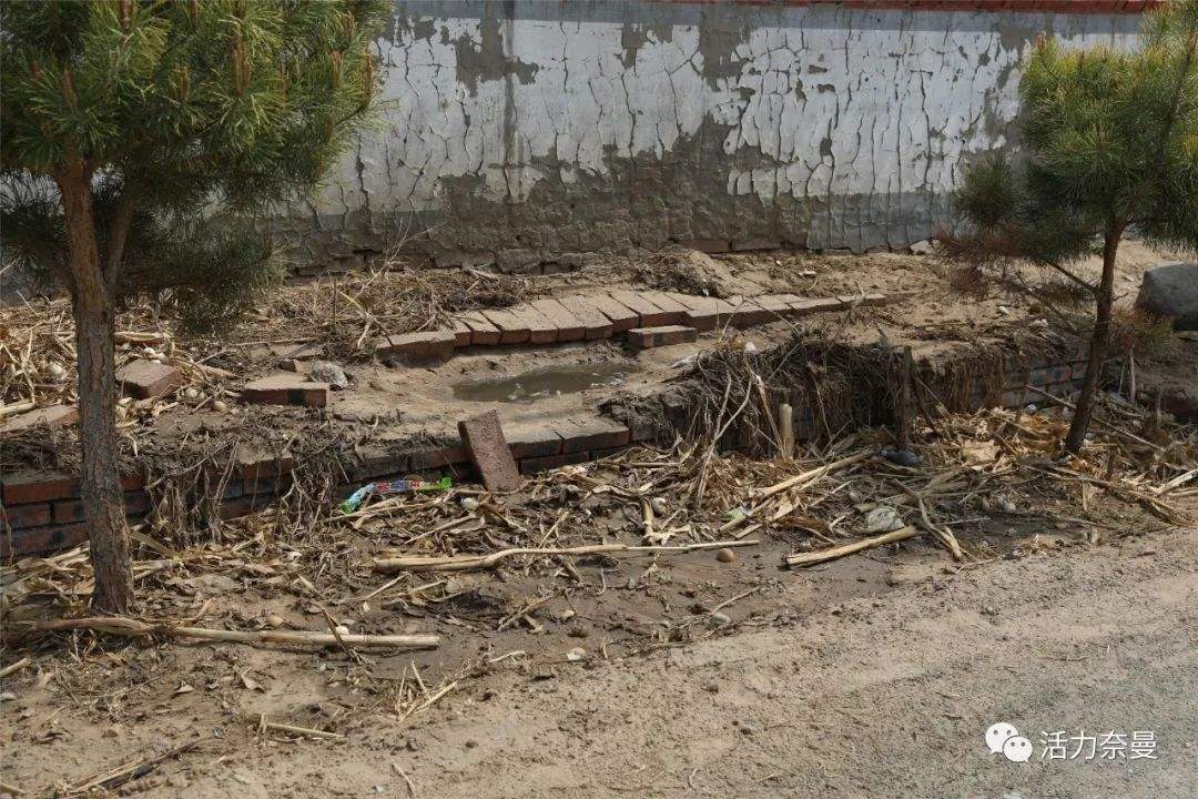 秸稈亂堆亂放污染環境