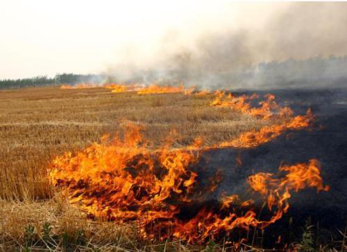 秸稈焚燒造成嚴(yán)重環(huán)境污染