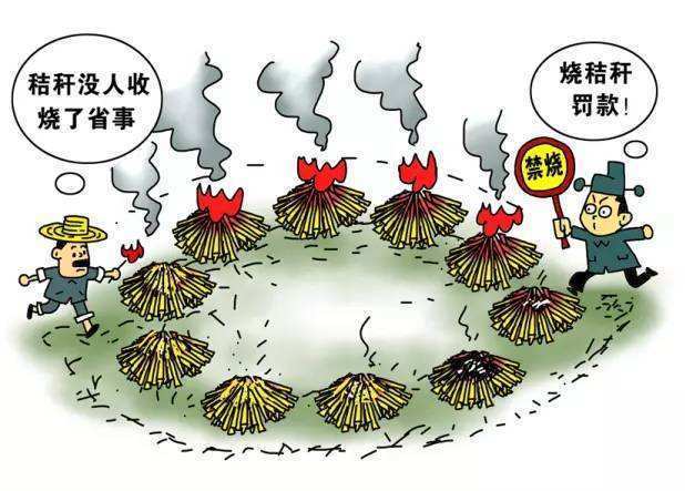 秸稈焚燒屢禁不止