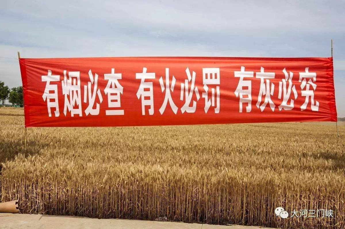 國家采取禁燒秸稈政策