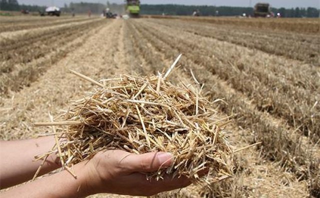 我國糧食產量實現“十七連豐” 我國糧食產量實現“十七連豐”