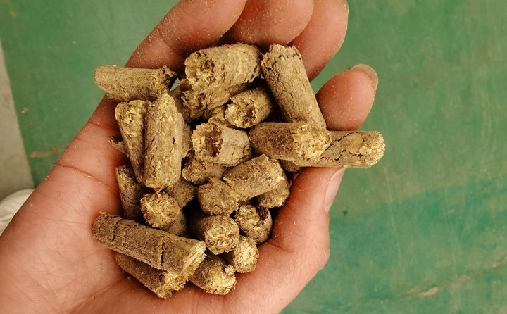 秸稈飼料顆粒機提高秸稈利用率，飼料顆粒機是以玉米、豆粕、秸稈、草、稻殼等為原料，通過粉碎原料后直接壓制成顆粒的飼料加工機械。