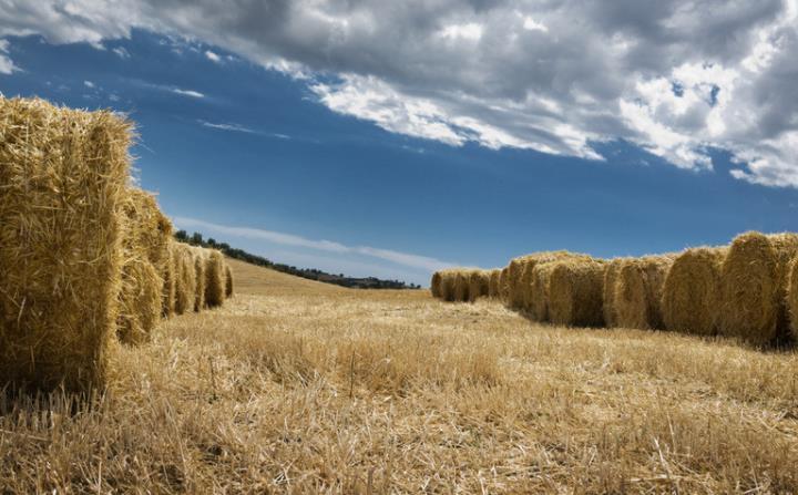 南昌縣廣福鎮助力秸稈循環利用 變廢為寶 實現三贏 南昌縣廣福鎮助力秸稈循環利用 變廢為寶 實現三贏