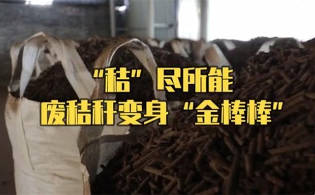 秸稈制粒機制粒處理