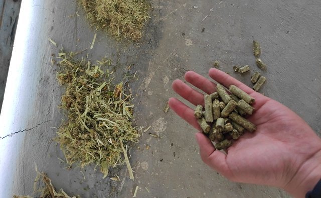 檸條顆粒機生物質燃料