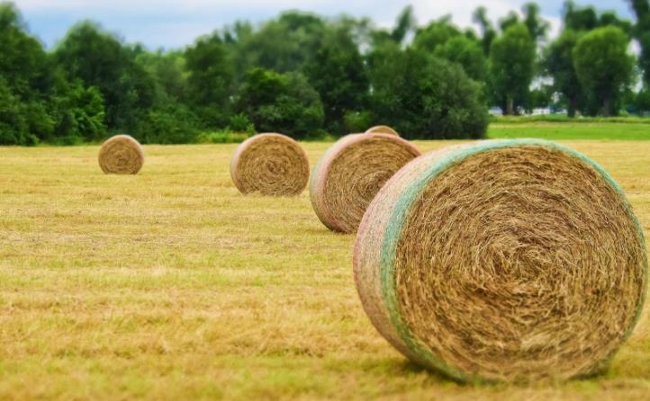 全國秸稈綜合利用工作推進(jìn)會在北京召開