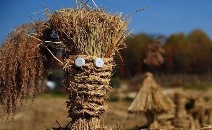 貴州省2023年創(chuàng)建100個秸稈綜合利用示范基地 貴州省2023年創(chuàng)建100個秸稈綜合利用示范基地