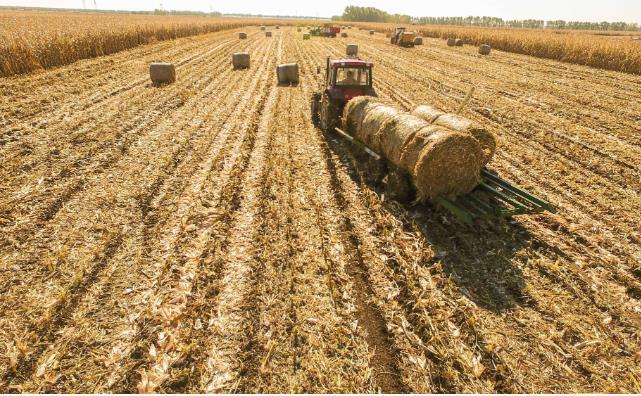 姜堰秸稈變廢為寶