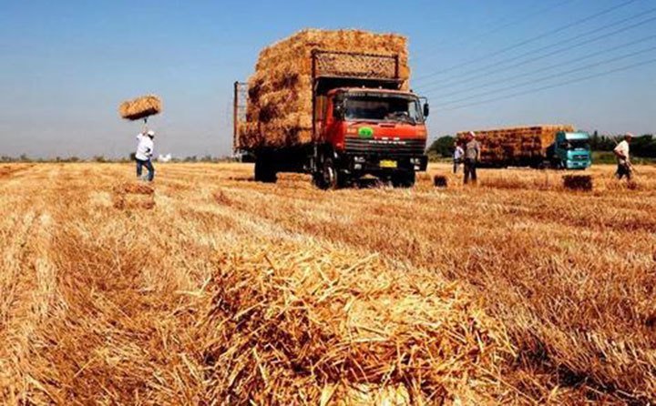 安徽省蒙城縣支持秸稈多形式高效利用 安徽省蒙城縣支持秸稈多形式高效利用