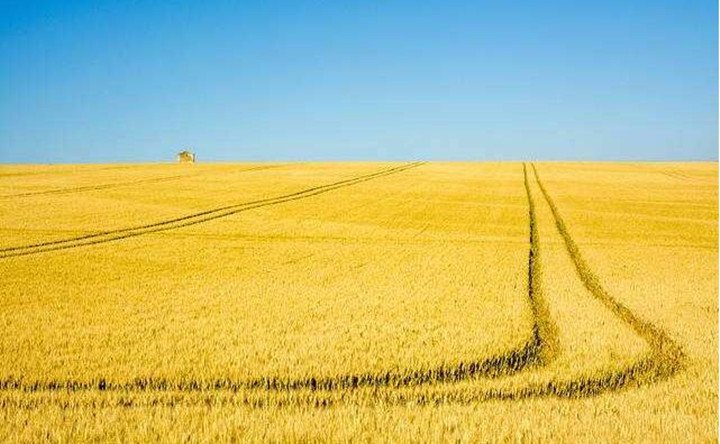 內(nèi)蒙古秸稈資源的轉(zhuǎn)化與再利用成效顯著