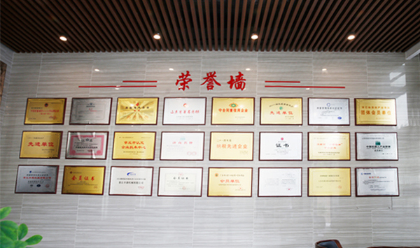 榮譽(yù)資質(zhì) 榮譽(yù)資質(zhì)