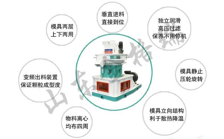 大蒜秸稈顆粒機和蒜皮顆粒機優勢特點 大蒜秸稈顆粒機和蒜皮顆粒機優勢特點